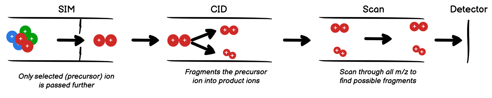 mass spec productscan