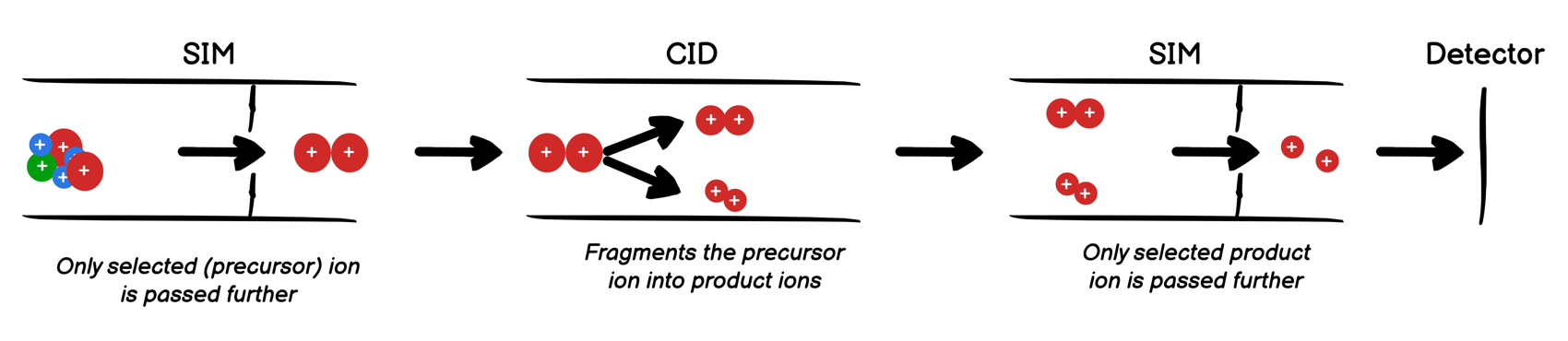 mass spec srm